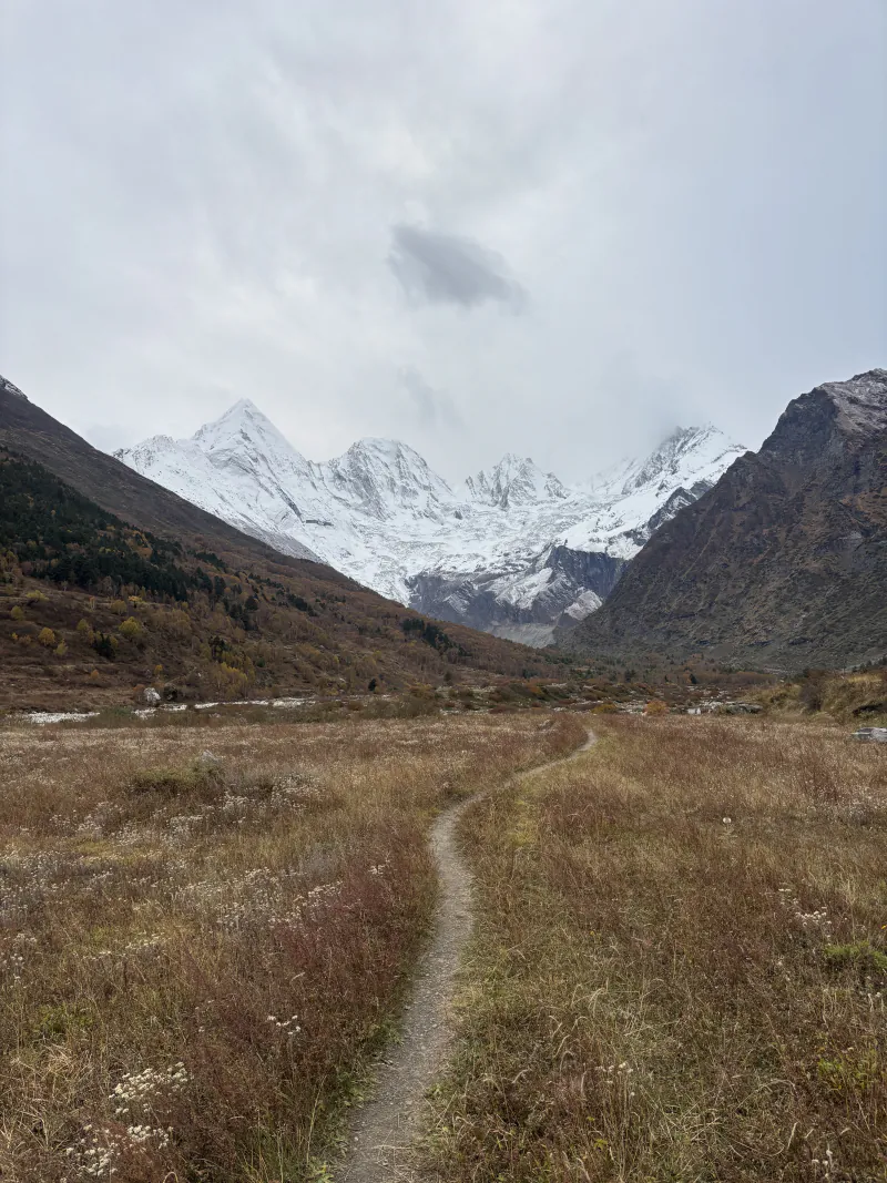 A narrow footpath through dry autumn meadows towards snowy peaks